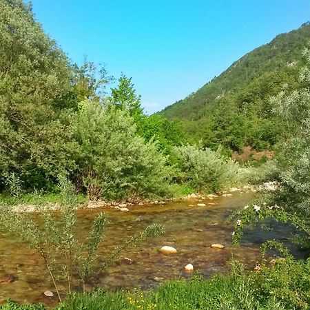 Hotel Kamp Vrbnica Plužine Zewnętrze zdjęcie