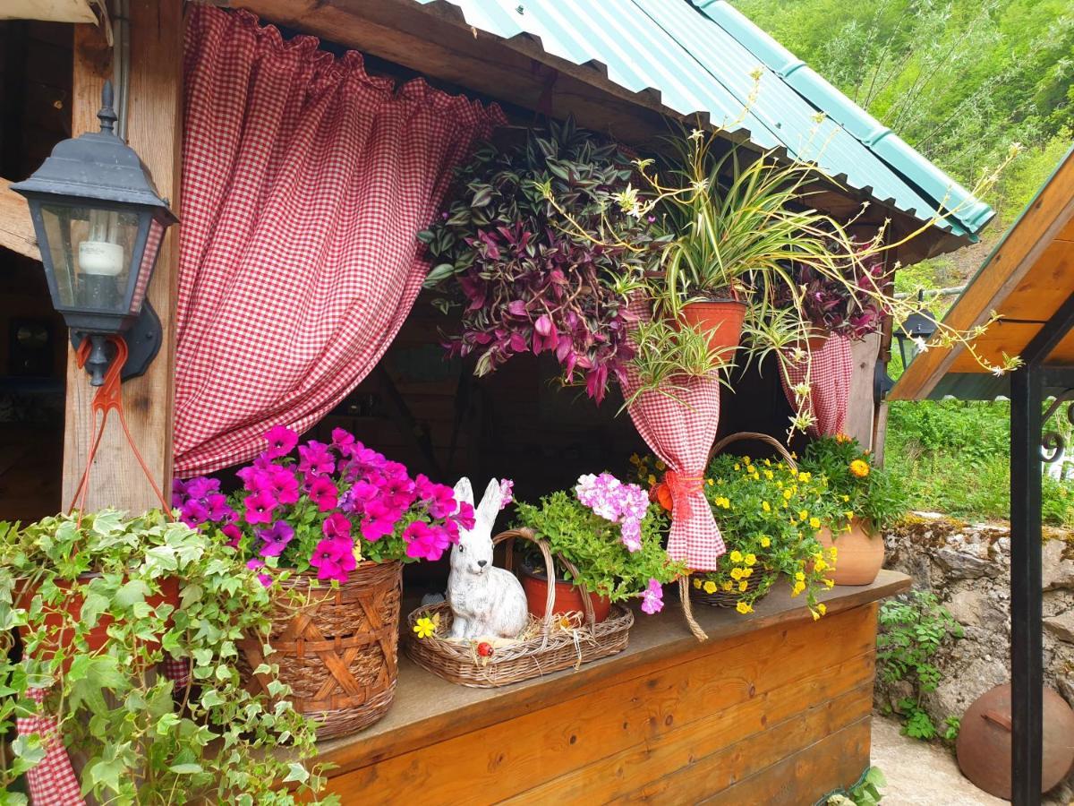 Hotel Kamp Vrbnica Plužine Zewnętrze zdjęcie