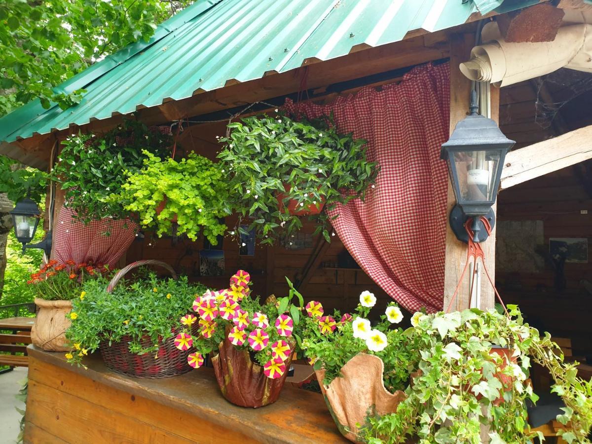 Hotel Kamp Vrbnica Plužine Zewnętrze zdjęcie
