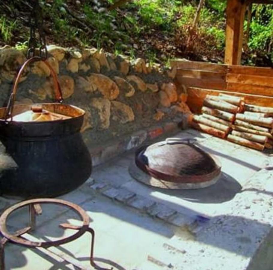 Hotel Kamp Vrbnica Plužine Zewnętrze zdjęcie